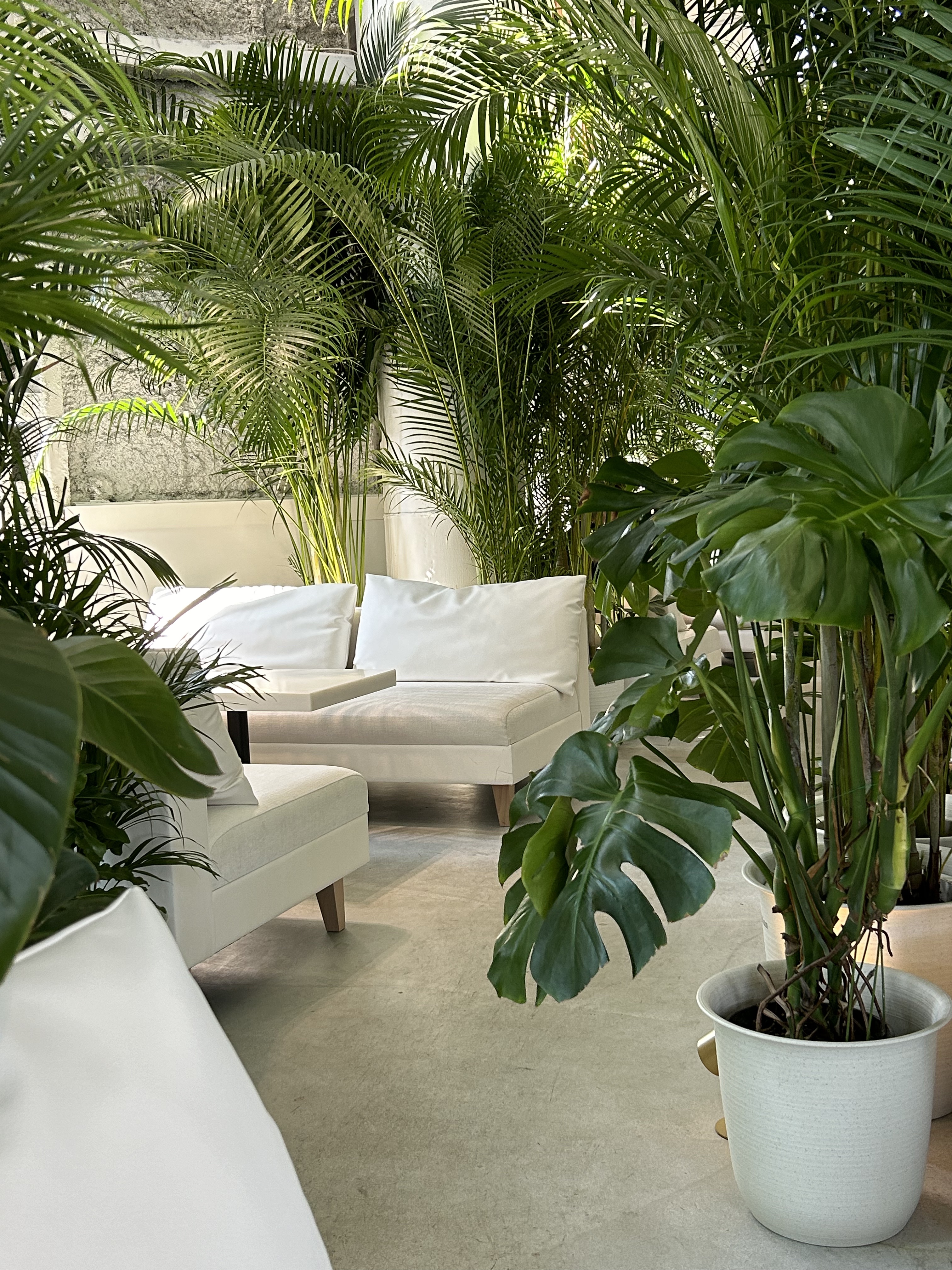 イージーパックDP60分タイプ 60分タイプ Sサイズ/ベビーフット/レッグ・フットケアを使ったクチコミ（1枚目）