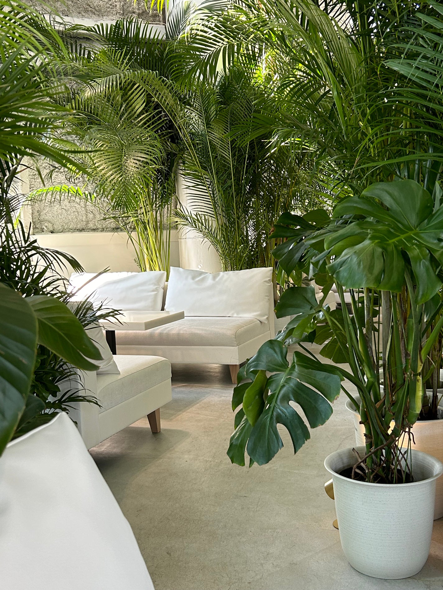 イージーパックDP60分タイプ/ベビーフット/レッグ・フットケアを使ったクチコミ(1枚目)