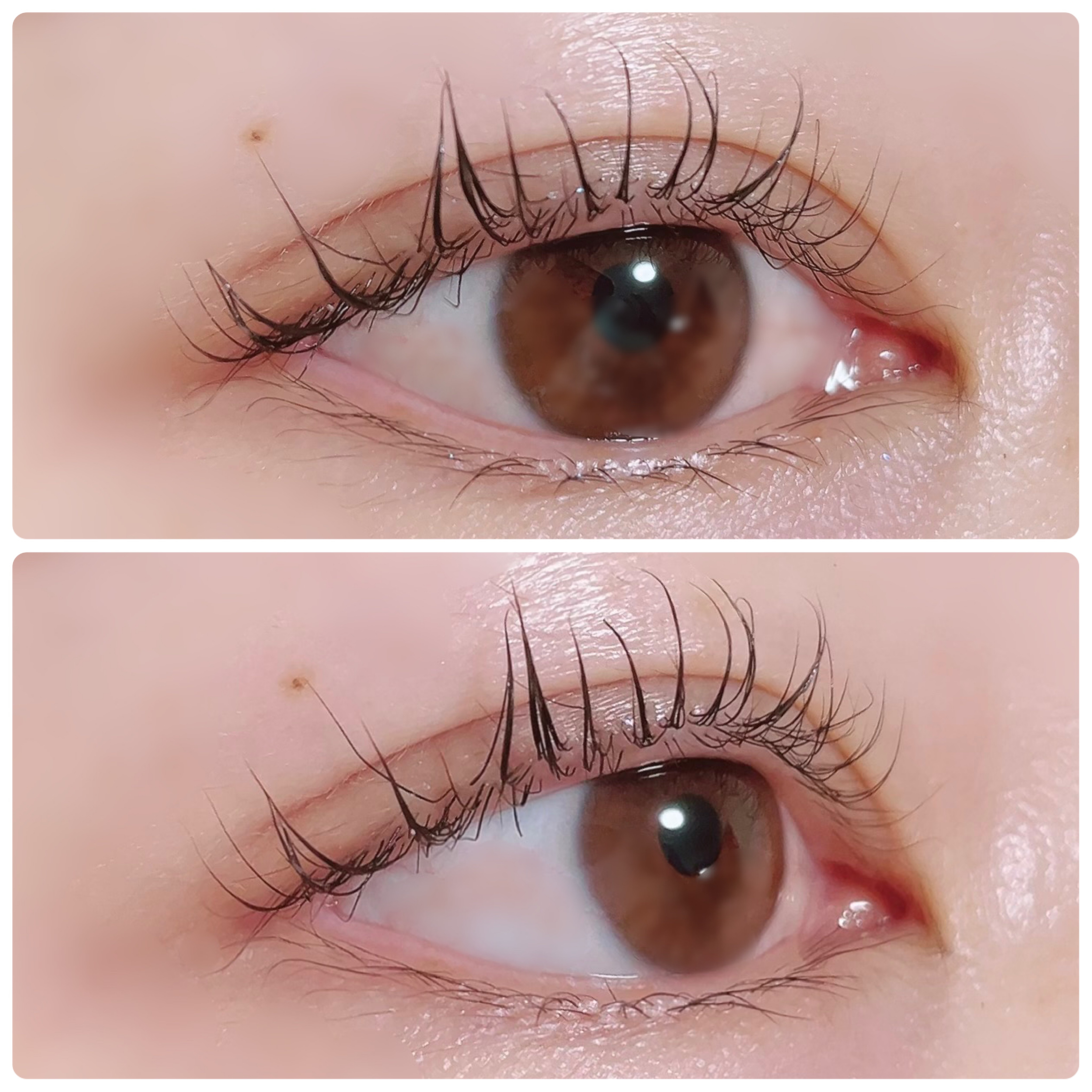 ラッシュアディクト アイラッシュコンディショニングセラム/soaddicted/まつげ美容液を使ったクチコミ（3枚目）