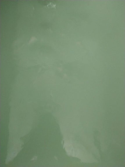 バスボール/SABON/炭酸系入浴剤を使ったクチコミ(2枚目)