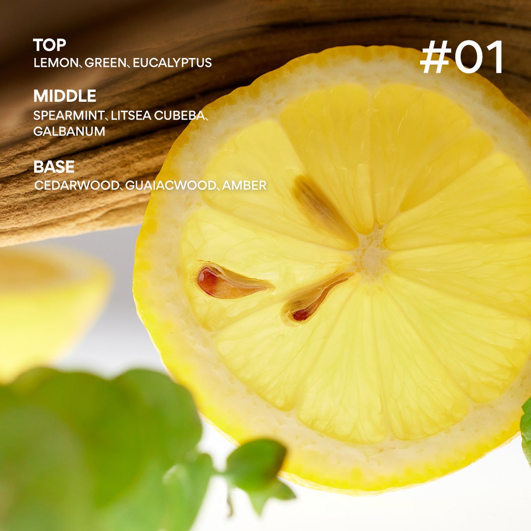 INNISFREE(イニスフリー)公式アカウント on LIPS 「✨新発売✨アイルナンバーライン香りをコンセプトにしたボディケア..」(3枚目)