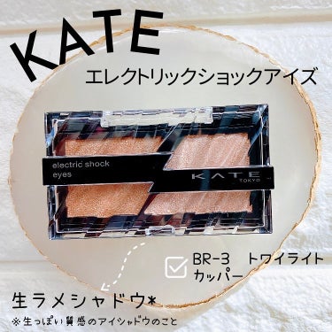 エレクトリックショックアイズ /KATE/アイシャドウパレットを使ったクチコミ（1枚目）