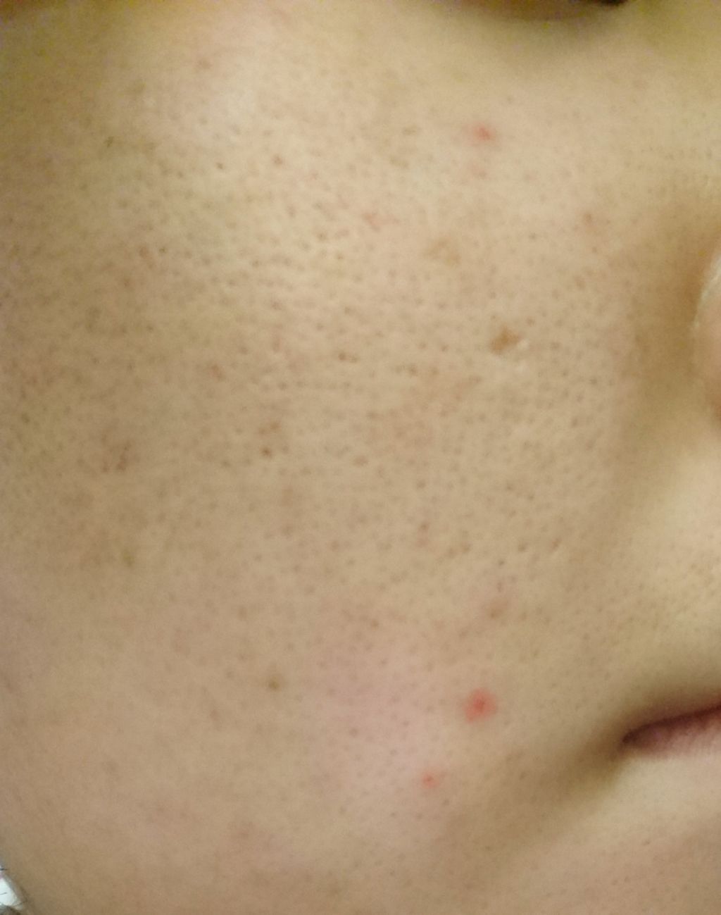 メーキャップ ベース ミルク UV/ちふれ/化粧下地を使ったクチコミ（1枚目）