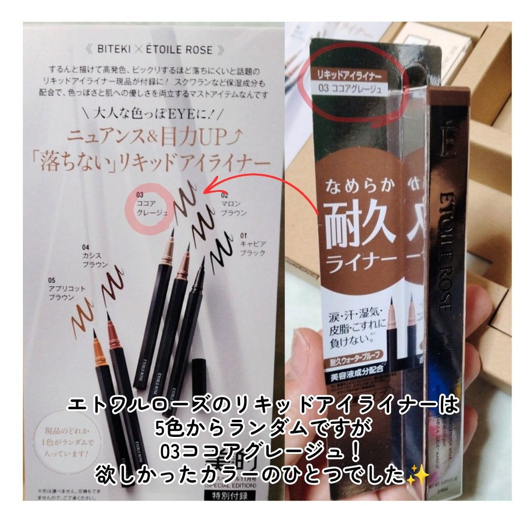 エトワルローズ アイライナーN/Étoile Rose/リキッドアイライナーを使ったクチコミ(6枚目)