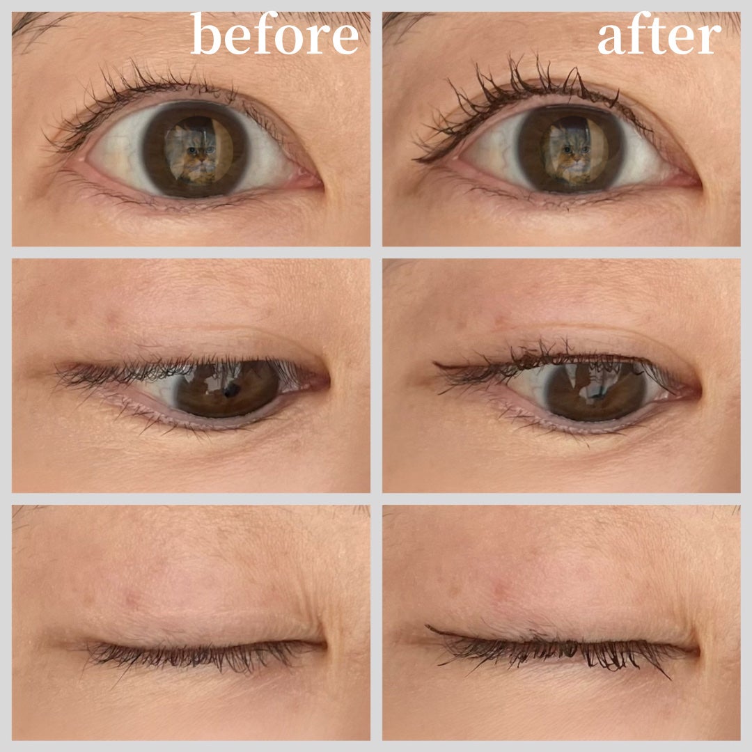 ããŒãã§ã¯ããšã¯ã¹ãã³ã·ã§ã³ ãã¹ã«ã©/D-UP/ãã¹ã«ã©ã䜿ã£ãã¯ãã³ãïŒ4æç®ïŒ