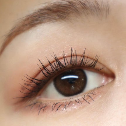 シルキースフレアイズ(マットタイプ)/キャンメイク/アイシャドウパレットを使ったクチコミ(7枚目)