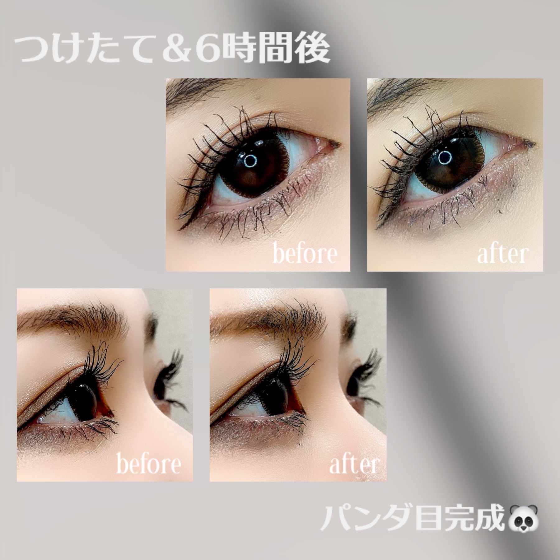 パーマネントカール フィクサー WP/FASIO/マスカラ下地を使ったクチコミ（3枚目）