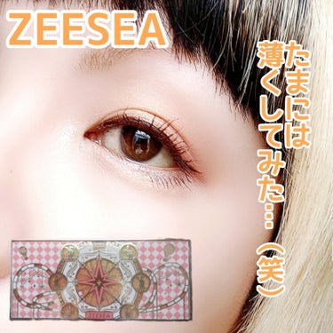 ZEESEA「ファンタジーパーク」12色アイシャドウパレット J04スカイホイール/ZEESEA/アイシャドウパレットを使ったクチコミ（1枚目）