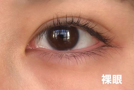 ReVIA 1day/ReVIA/ワンデー(1DAY)カラコンを使ったクチコミ(2枚目)