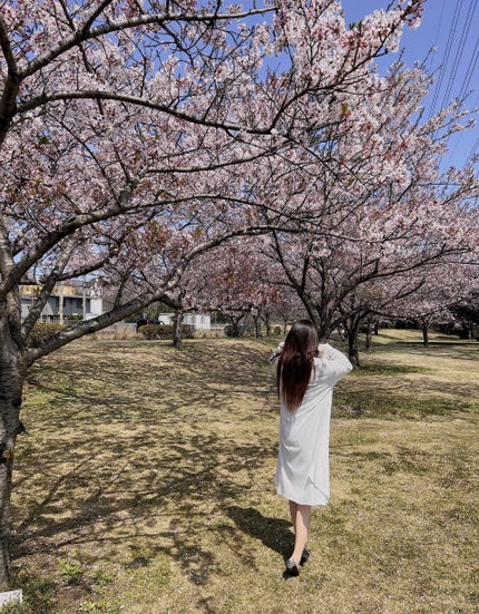 シュアネス アイライナーリキッド C/Celvoke/リキッドアイライナーを使ったクチコミ(7枚目)