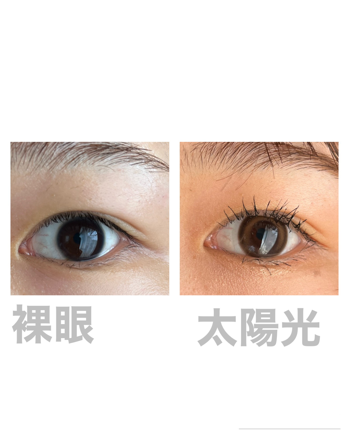 Cherry Moon 1day ブラウン/OLENS/カラーコンタクトレンズを使ったクチコミ（3枚目）