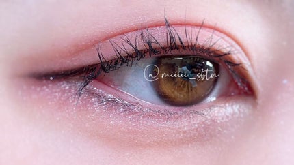 エレクトリックショックアイズ /KATE/アイシャドウパレットを使ったクチコミ(5枚目)