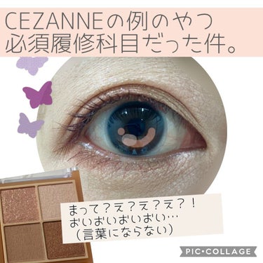 ベージュトーンアイシャドウ/CEZANNE/アイシャドウパレットを使ったクチコミ（1枚目）