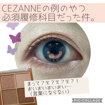ベージュトーンアイシャドウ/CEZANNE/アイシャドウパレットを使ったクチコミ(1枚目)