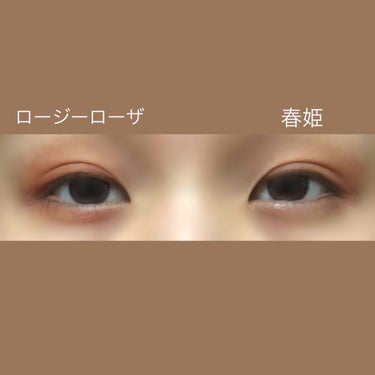 春姫 アイシャドウブラシ/DAISO/メイクブラシを使ったクチコミ（3枚目）