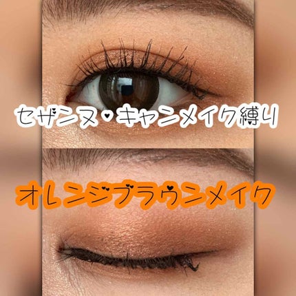 シングルカラーアイシャドウ/CEZANNE/単色アイシャドウを使ったクチコミ(1枚目)