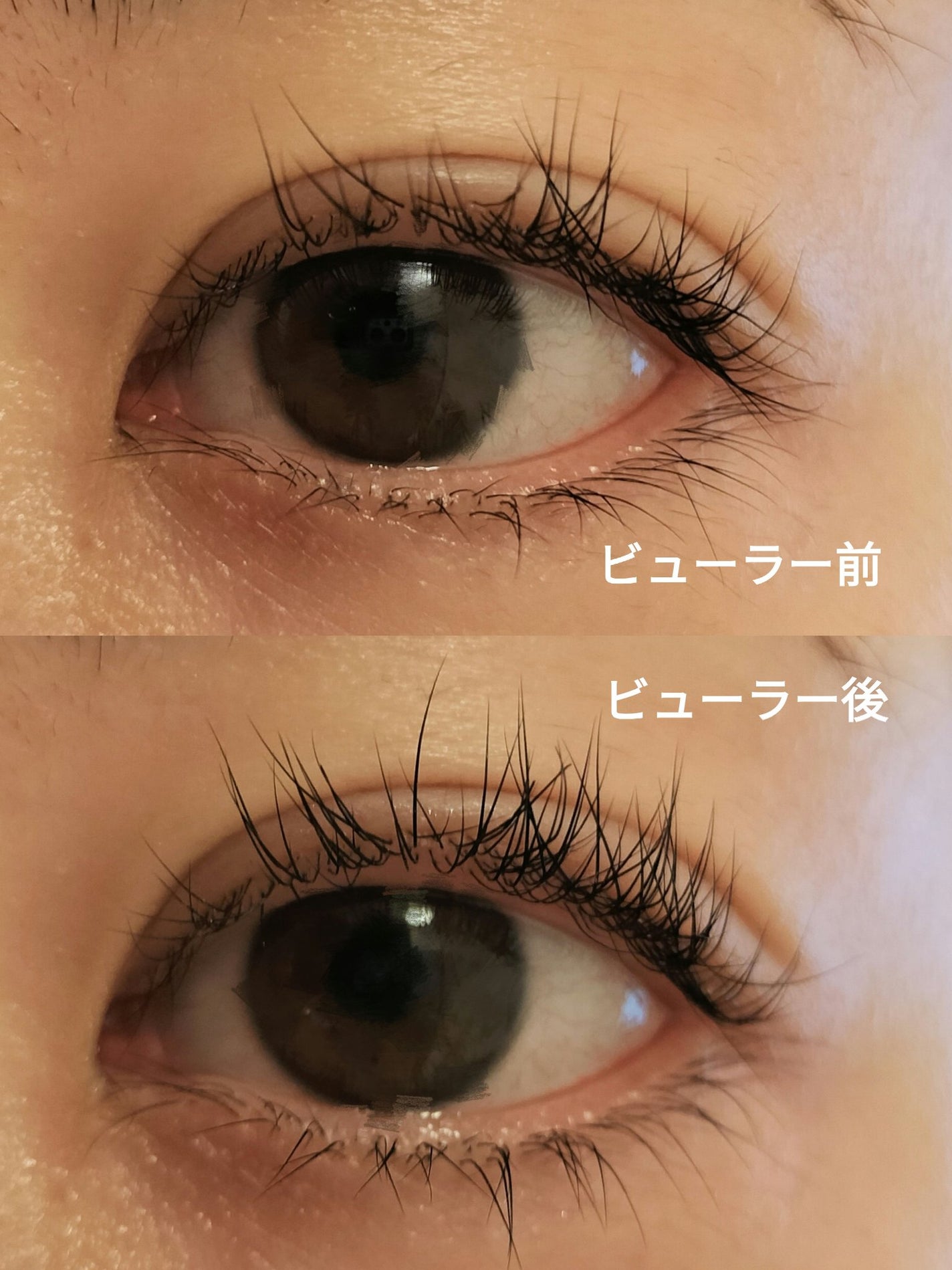 まつげにやさしいカーラー/SHOBIDO/ビューラーを使ったクチコミ(5枚目)
