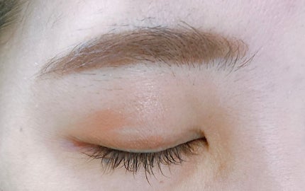 シルキースフレアイズ(マットタイプ)/キャンメイク/アイシャドウパレットを使ったクチコミ(4枚目)