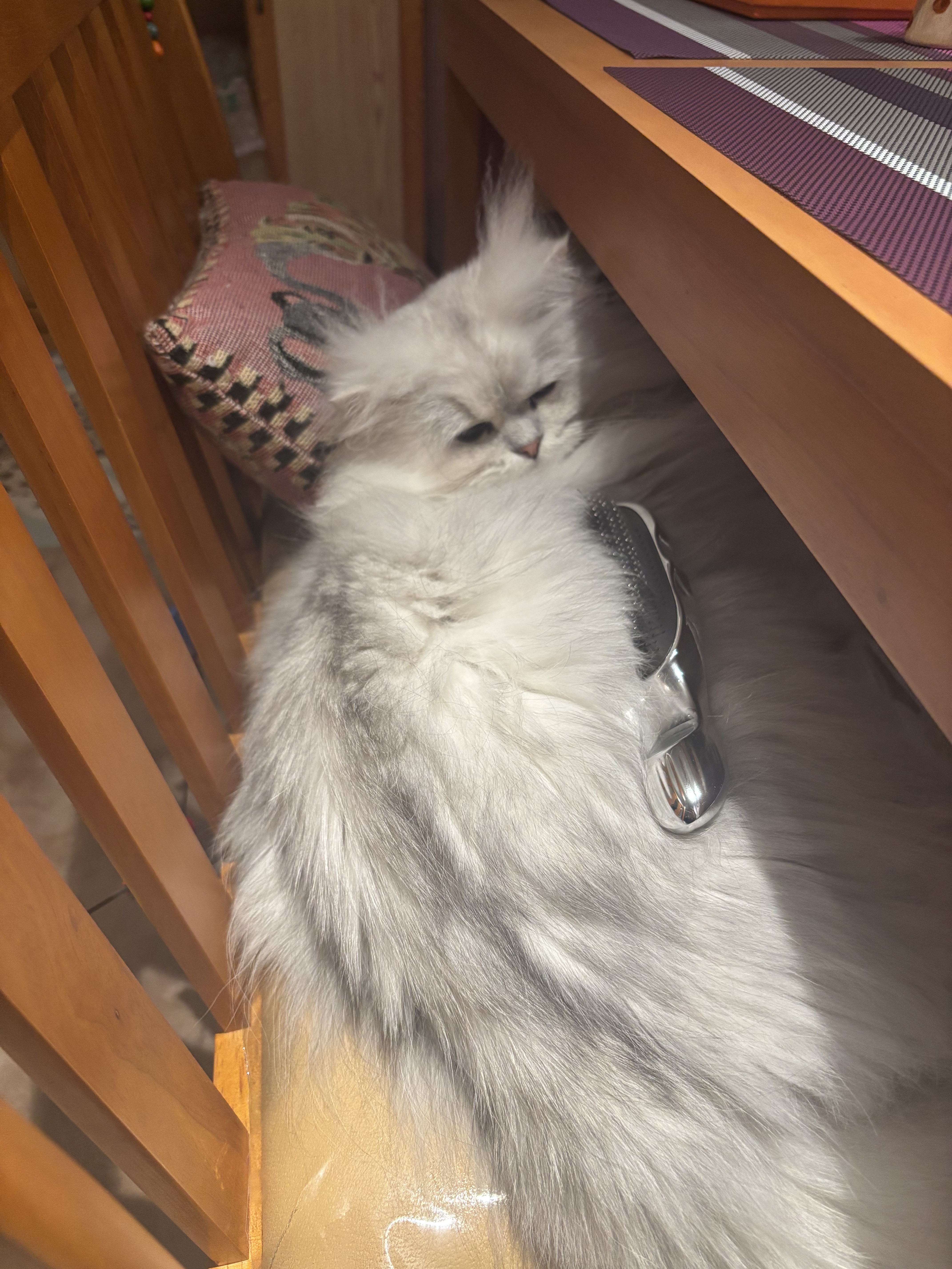 リファイオンケアブラシ/ReFa/スカルプブラシを使ったクチコミ（3枚目）