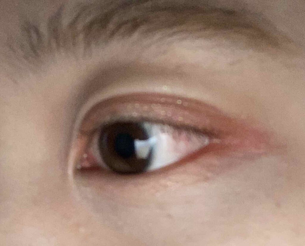 プロ アイ パレット/CLIO/アイシャドウパレットを使ったクチコミ(4枚目)