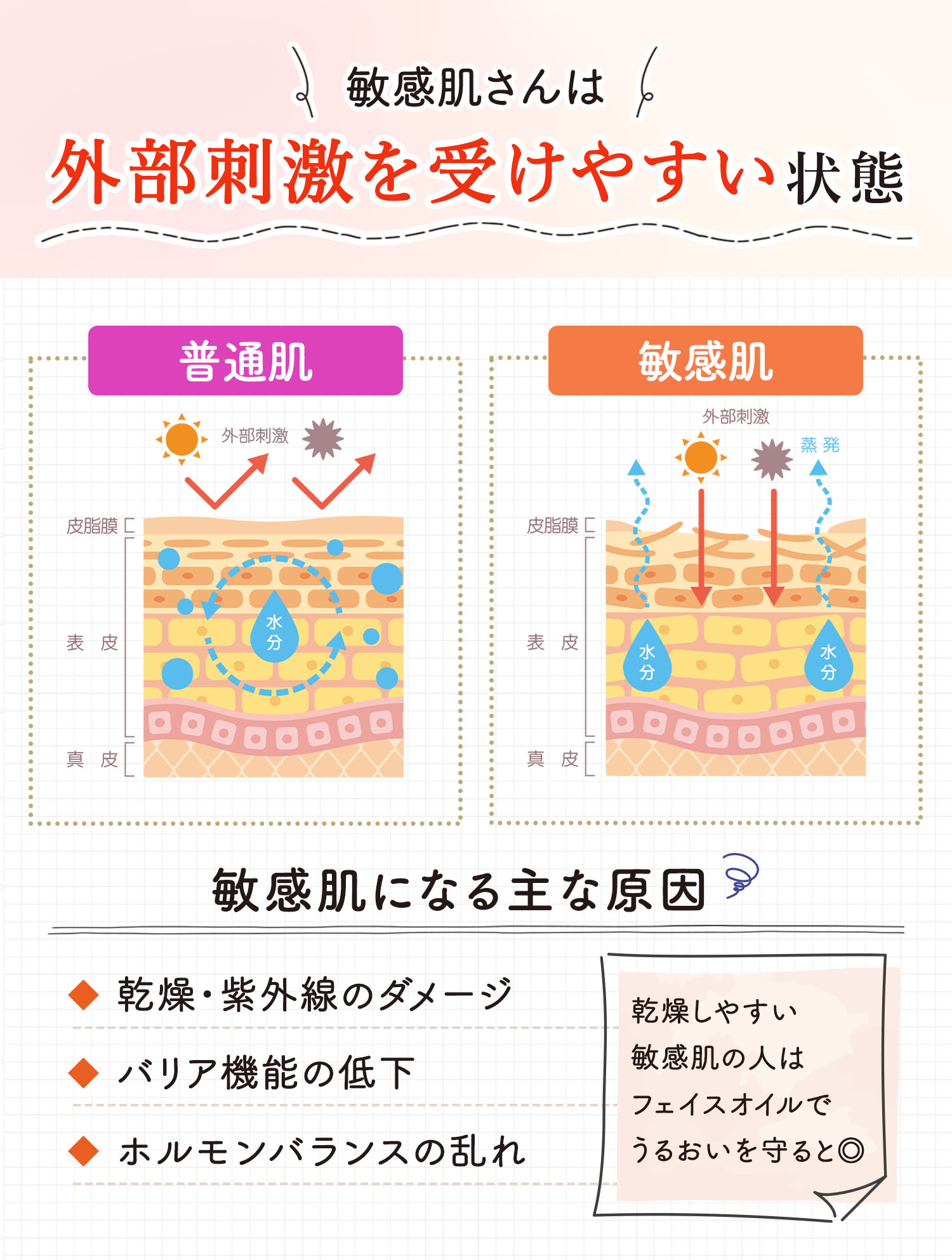 敏感肌さんは外部刺激を受けやすい状態。敏感肌になる主な原因は、乾燥・紫外線ダメージ、バリア機能の低下、ホルモンバランスの乱れ。乾燥しやすい敏感肌の人はフェイスオイルでうるおいを守ると◎。