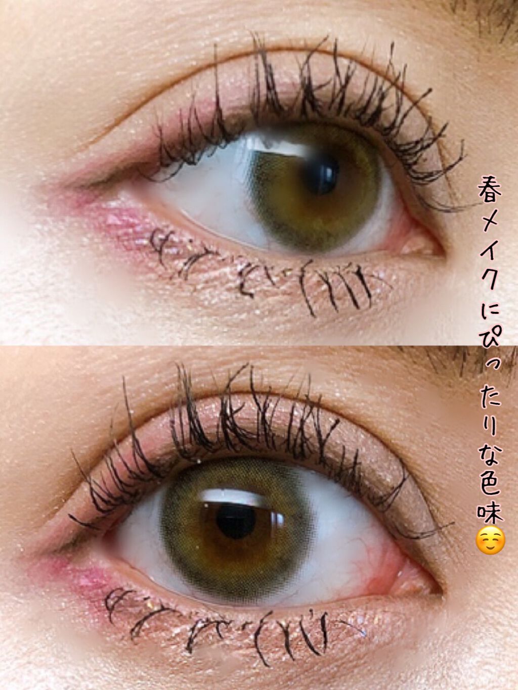 アイパレット/sopo/アイシャドウパレットを使ったクチコミ(6枚目)