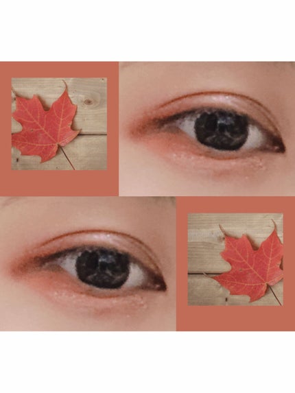 クイックイージーアイライナー/キャンメイク/リキッドアイライナーを使ったクチコミ(3枚目)