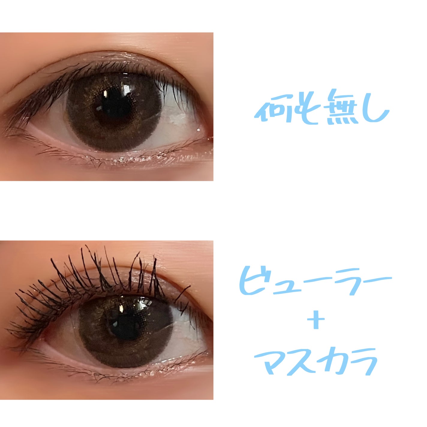 ラッシュガーディアン アングラヴィティマスカラ/LASHGUARDIAN/マスカラを使ったクチコミ(5枚目)