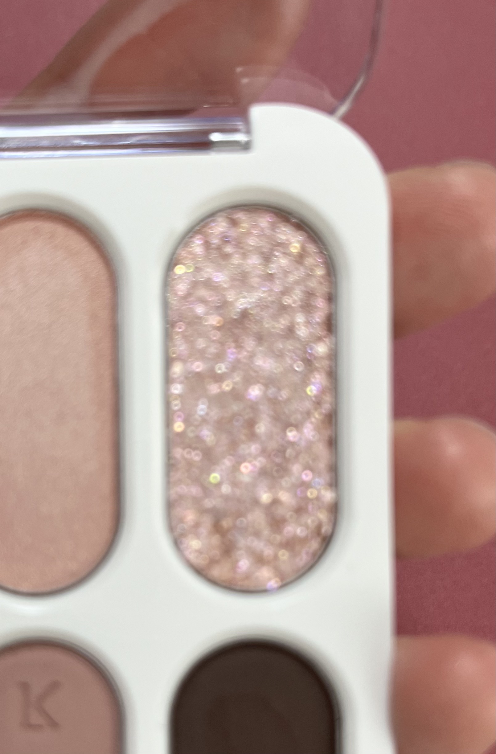 フォーエバー6アイパレット/Laka/アイシャドウパレットを使ったクチコミ（3枚目）