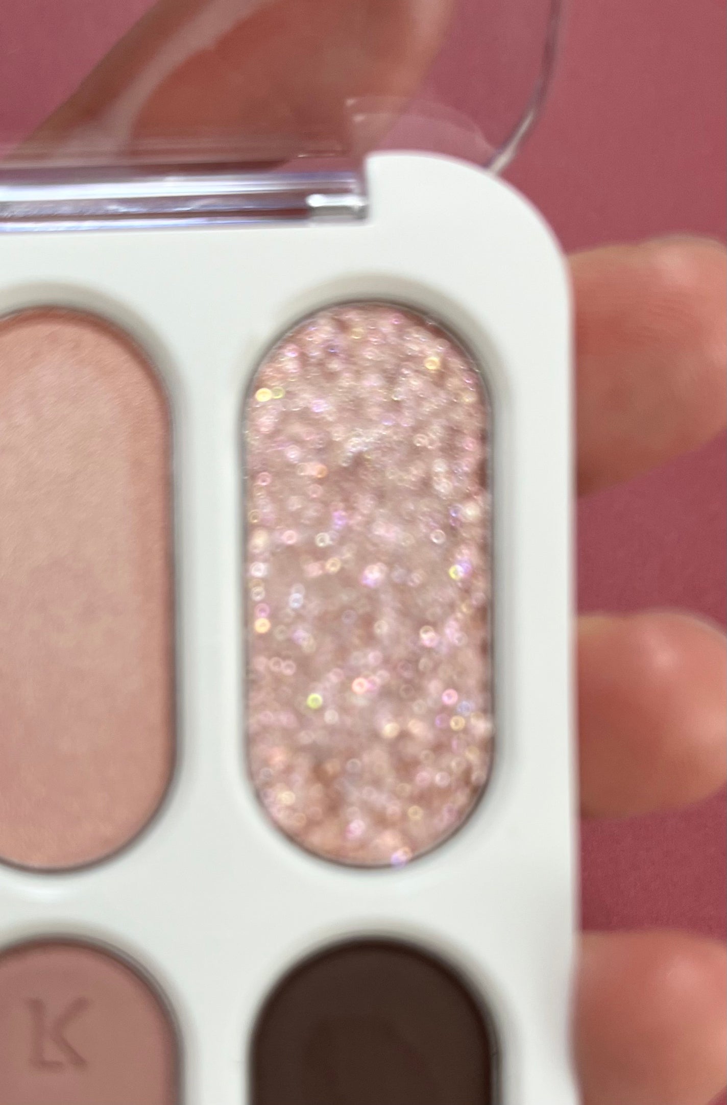 フォーエバー6アイパレット/Laka/アイシャドウパレットを使ったクチコミ(3枚目)