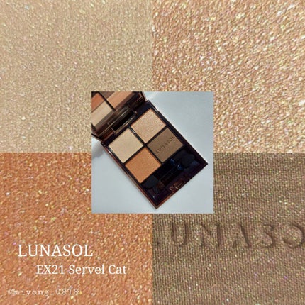 アイカラーレーション/LUNASOL/アイシャドウパレットを使ったクチコミ(2枚目)