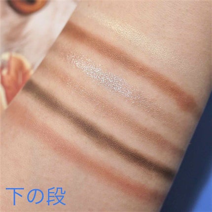 エクスプローラ12色 動物アイシャドウパレット/PERFECT DIARY/アイシャドウパレットを使ったクチコミ(6枚目)