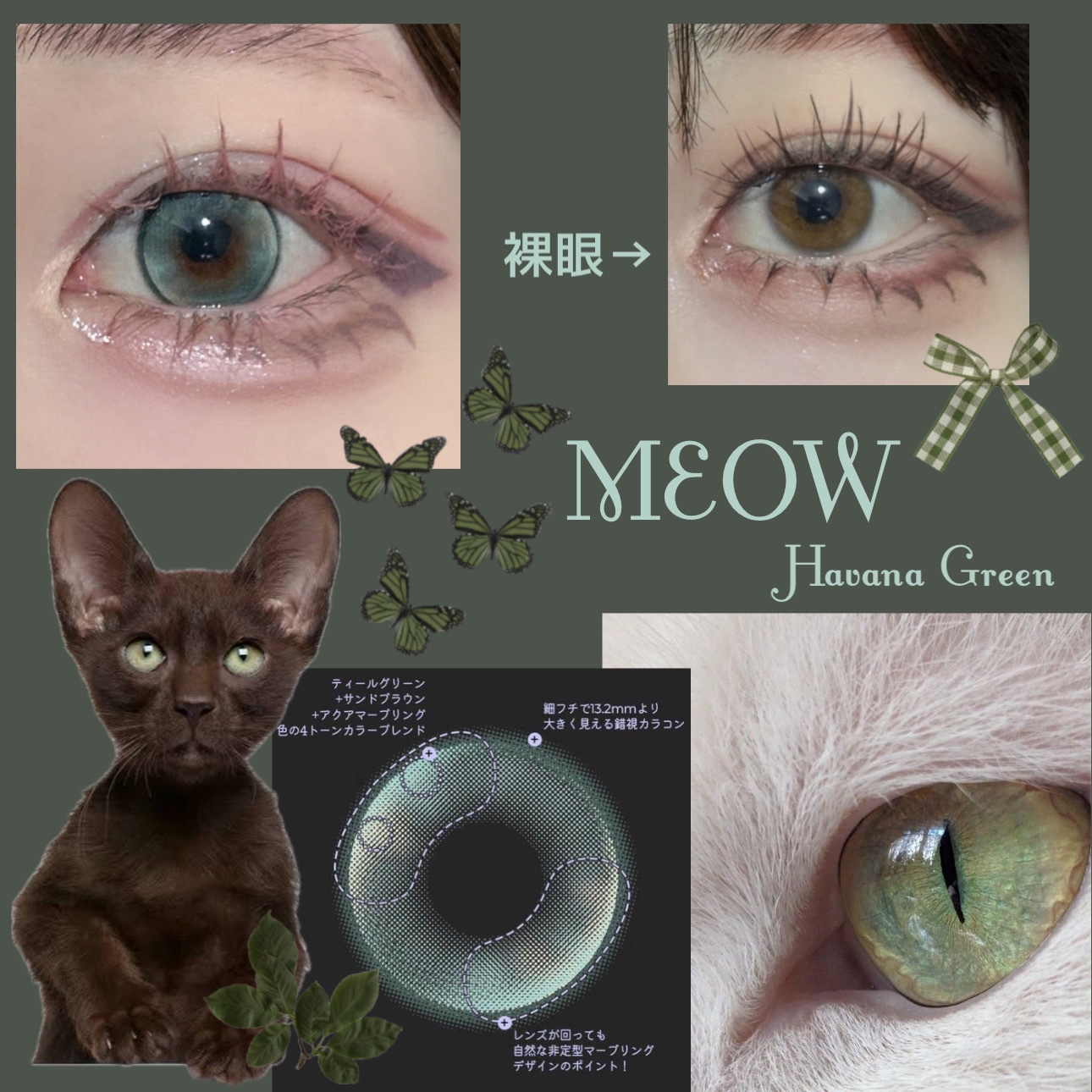 MEOW(ミヤオ) 1month/OLOLA/１ヶ月（１MONTH）カラコンを使ったクチコミ（2枚目）