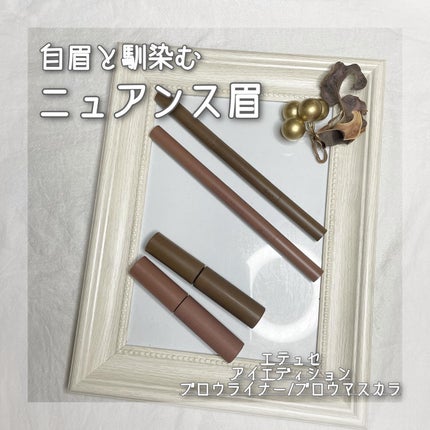 エテュセ アイエディション(ブロウライナー)/ettusais/アイブロウペンシルを使ったクチコミ(1枚目)