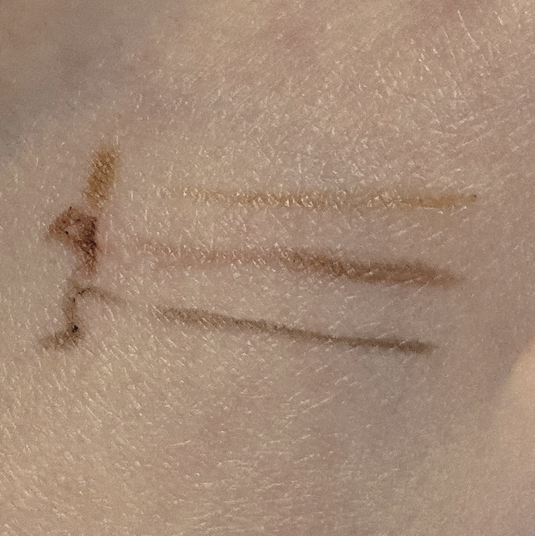 スリムスケッチアイブロウペンシル ライトブラウン/U R GLAM/アイブロウペンシルを使ったクチコミ（3枚目）