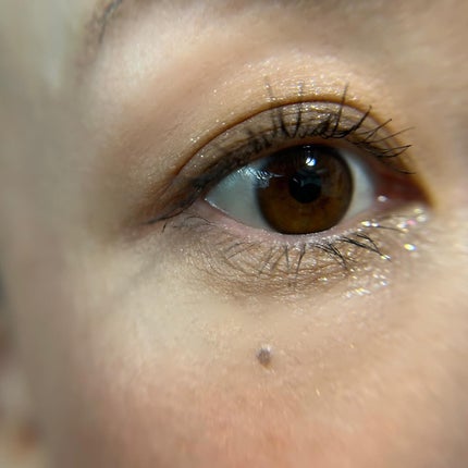 フェイス スタイリスト/SNIDEL BEAUTY/アイシャドウパレットを使ったクチコミ(5枚目)