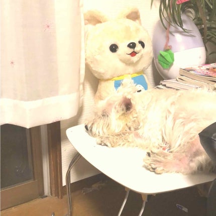 チークスティック/CEZANNE/ジェル・クリームチークを使ったクチコミ(3枚目)