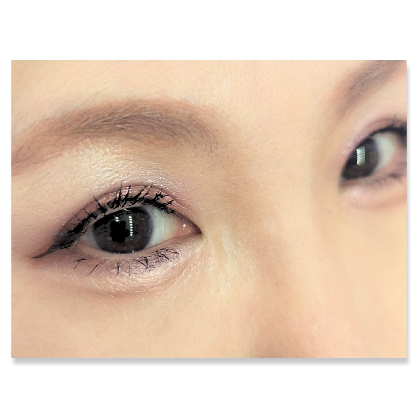 シルキースフレアイズ/キャンメイク/アイシャドウパレットを使ったクチコミ(2枚目)