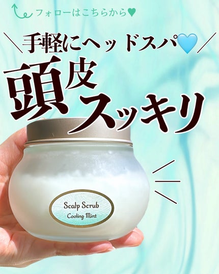 ヘッドスクラブ リフレッシング(ミント)/SABON/ヘッドスクラブを使ったクチコミ(1枚目)