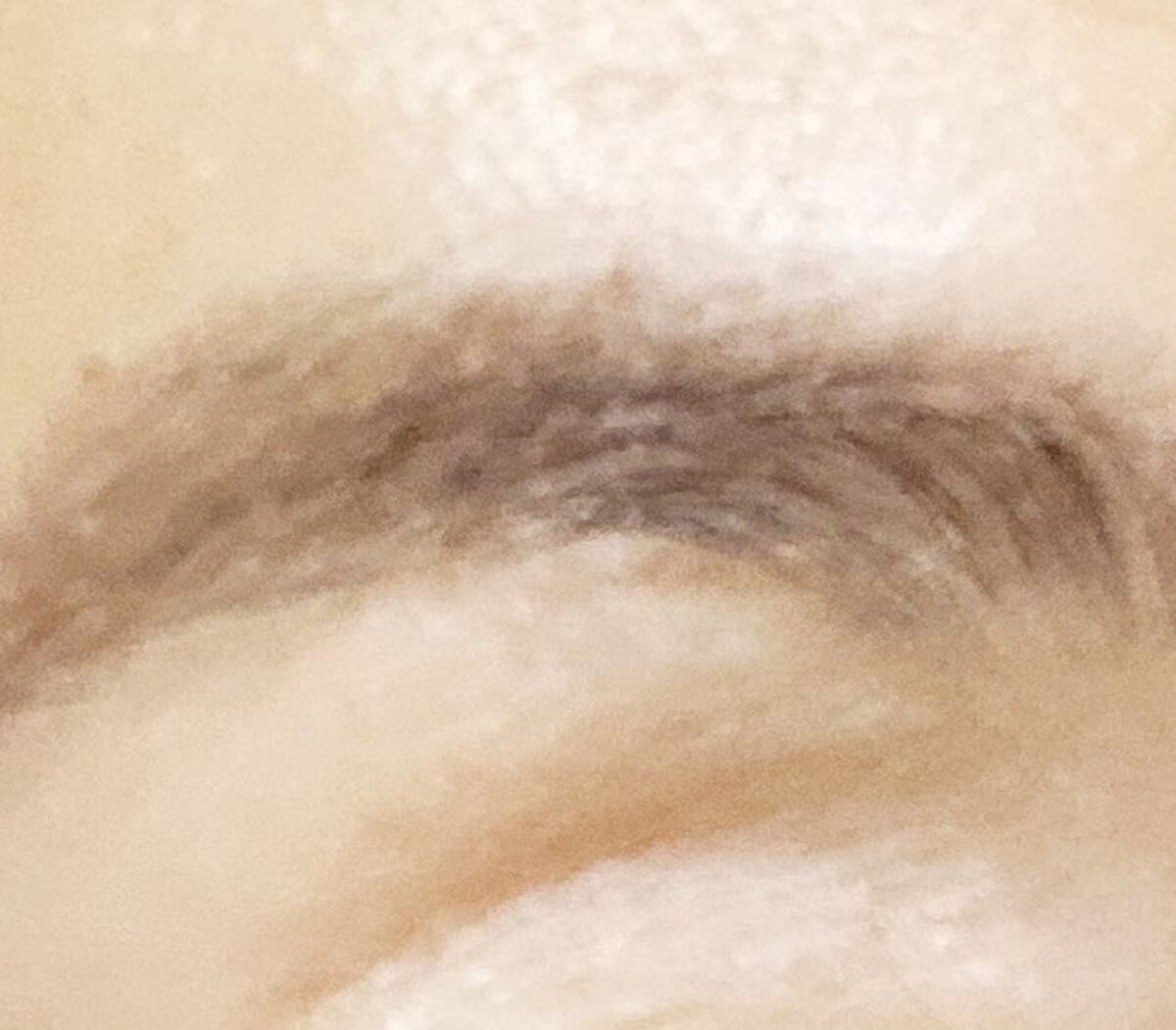 パウダーアイブロウ/media luxe/パウダーアイブロウを使ったクチコミ(5枚目)