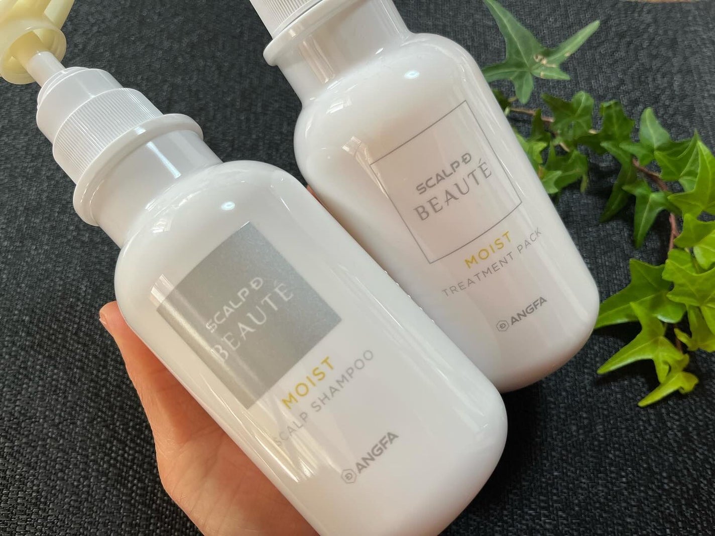 スカルプD ボーテ 薬用スカルプシャンプー(モイスト)/薬用トリートメントパック(モイスト)/アンファー(スカルプD)/市販シャンプーを使ったクチコミ(6枚目)