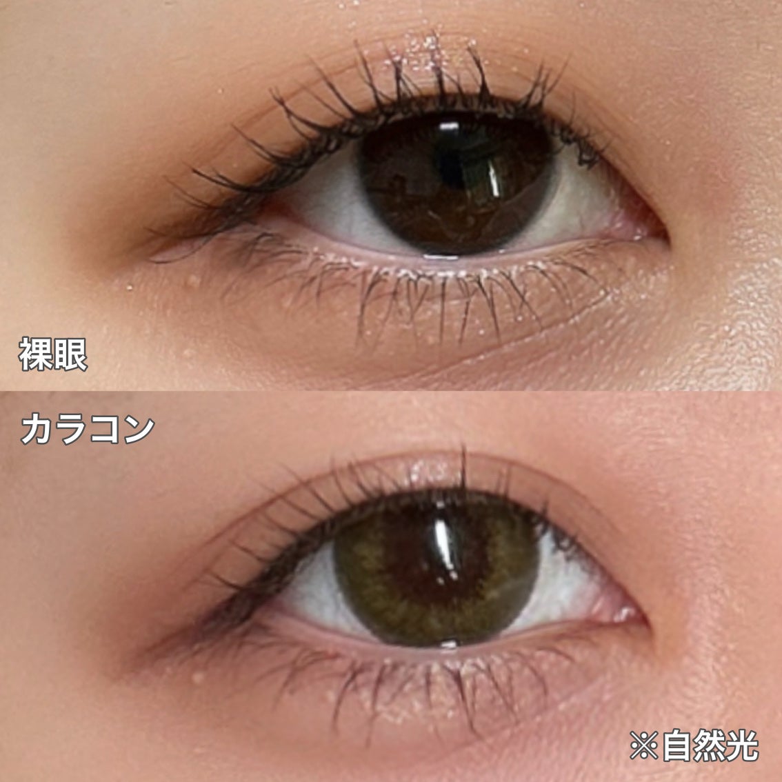 Angelcolor Bambi Series Vintage 1day/AngelColor/ワンデー(1DAY)カラコンを使ったクチコミ(2枚目)