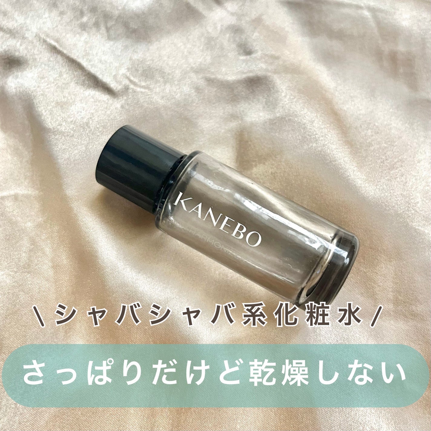 スキン ハーモナイザー/KANEBO/化粧水を使ったクチコミ(1枚目)