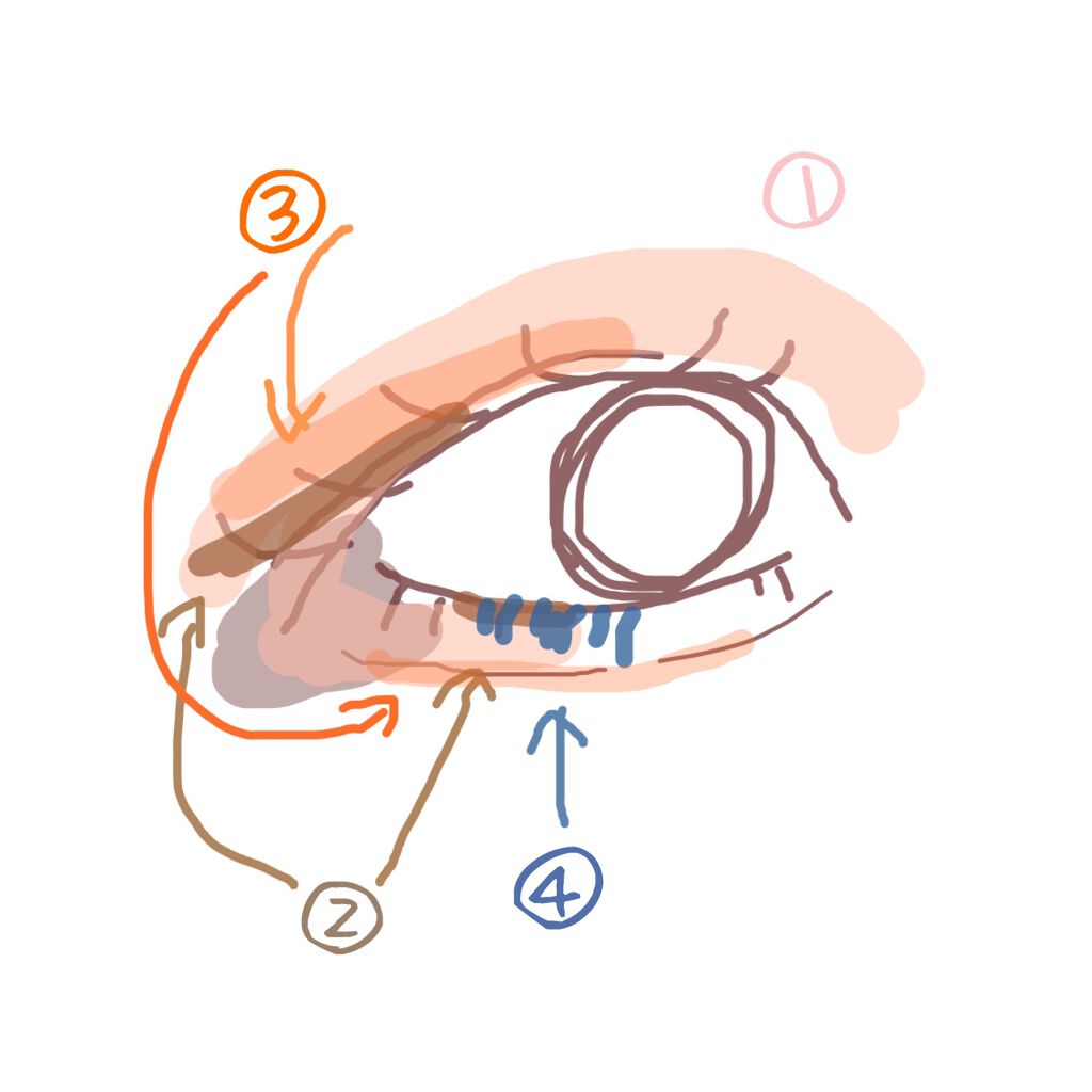 ショコラスウィート アイズ ソフトマット 001 クリームショコラ/リンメル ロンドン/アイシャドウパレットを使ったクチコミ（2枚目）