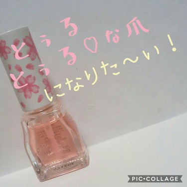 クイックケアコート/ettusais/ネイルオイル・トリートメントを使ったクチコミ（1枚目）