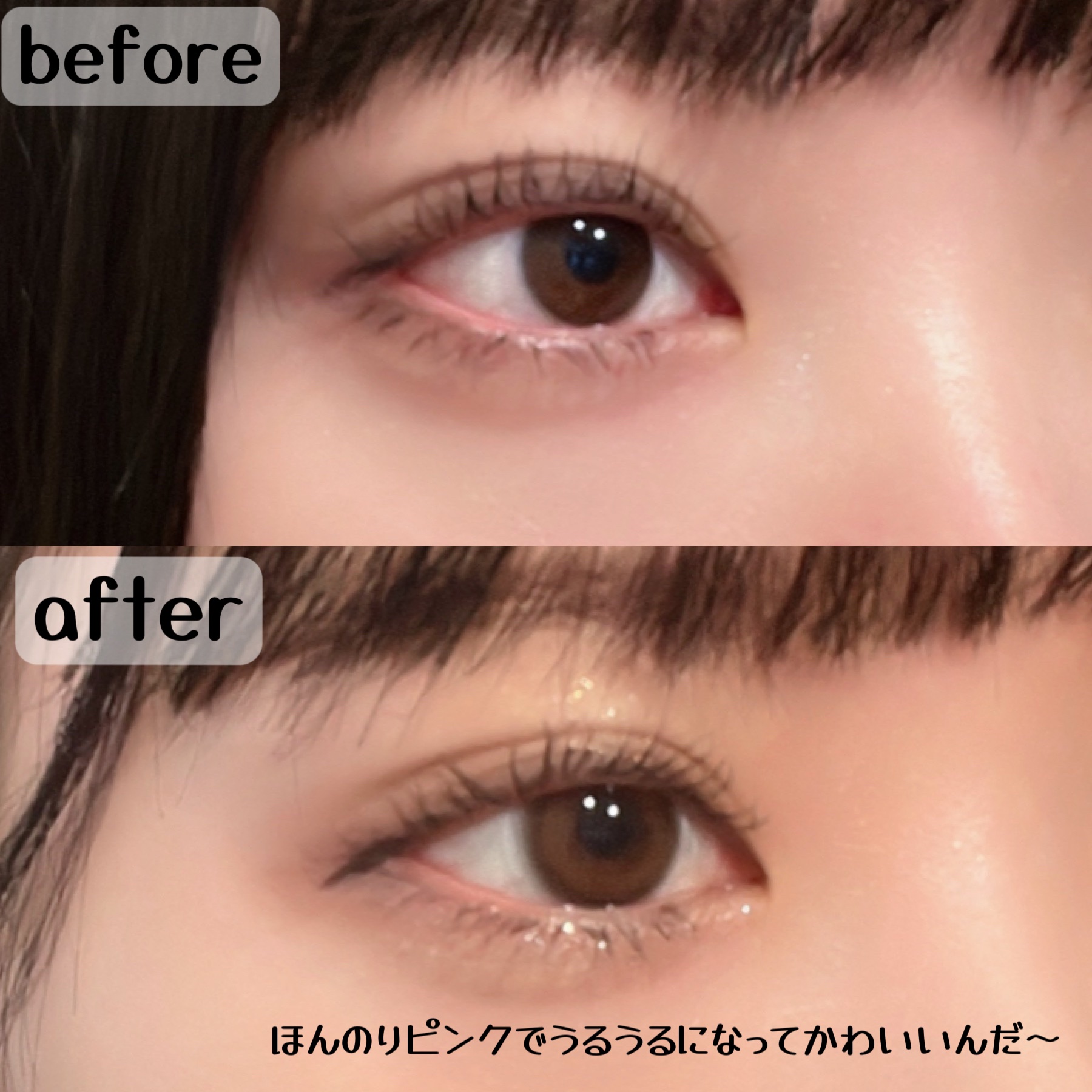 HoneyDrops 1day 15.0mm ミルキードール/HONEY DROPS/ワンデー（１DAY）カラコンを使ったクチコミ（3枚目）