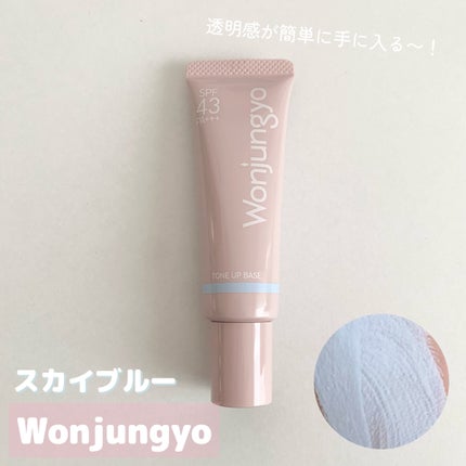 ウォンジョンヨ トーンアップベース NA/Wonjungyo/化粧下地を使ったクチコミ(1枚目)