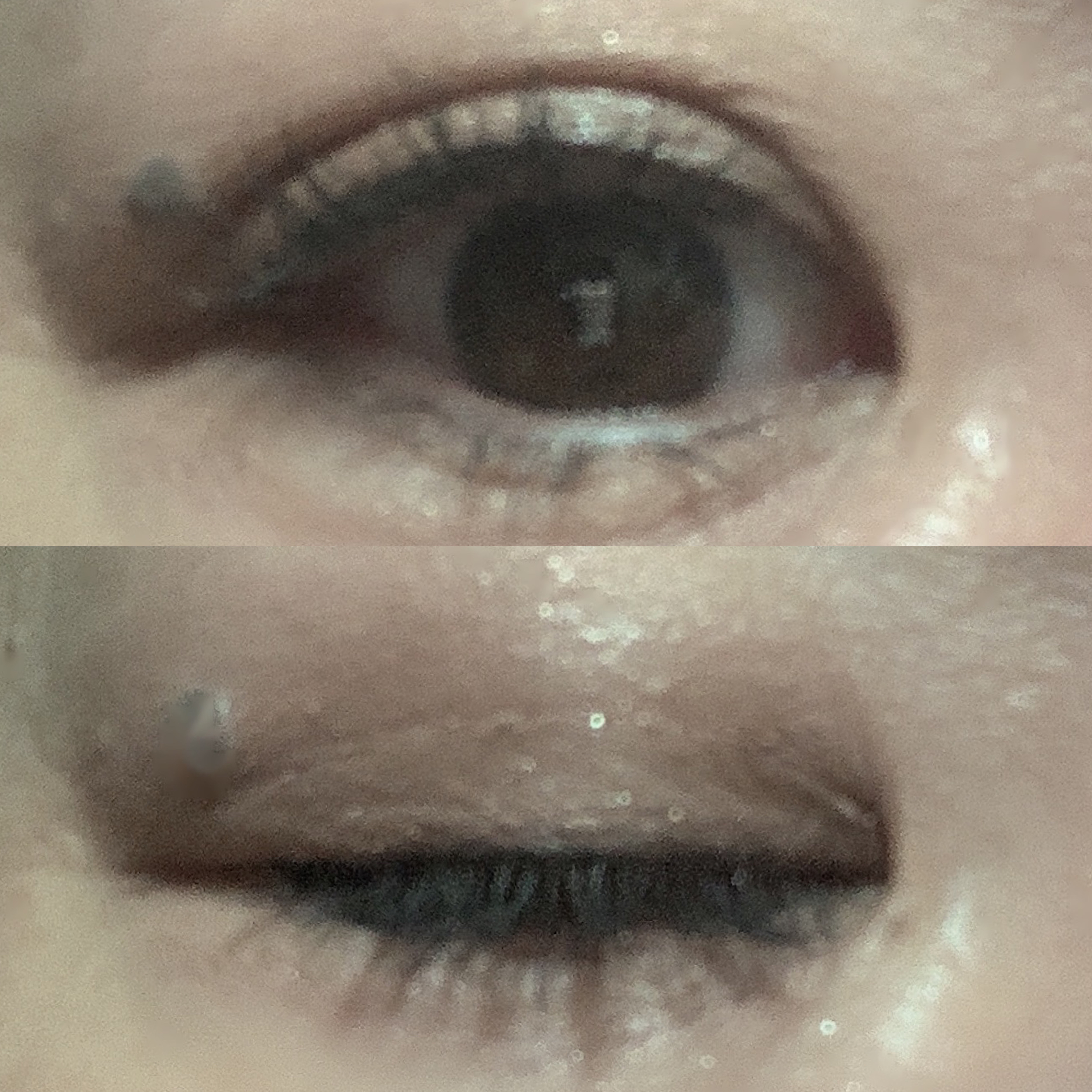 ウインク アイ シェード プライマー/Javin De Seoul/リキッドアイシャドウを使ったクチコミ（2枚目）