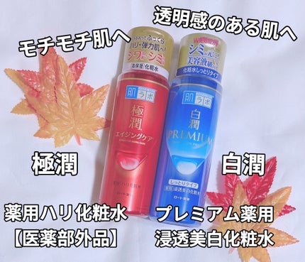 白潤プレミアム薬用浸透美白化粧水/肌ラボ/化粧水を使ったクチコミ(1枚目)