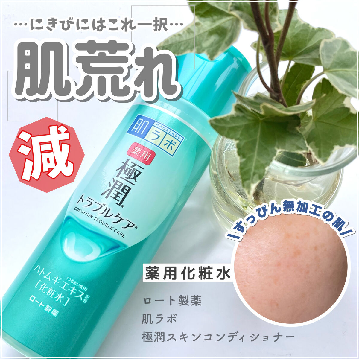 薬用 極潤 スキンコンディショナー/肌ラボ/化粧水を使ったクチコミ（1枚目）